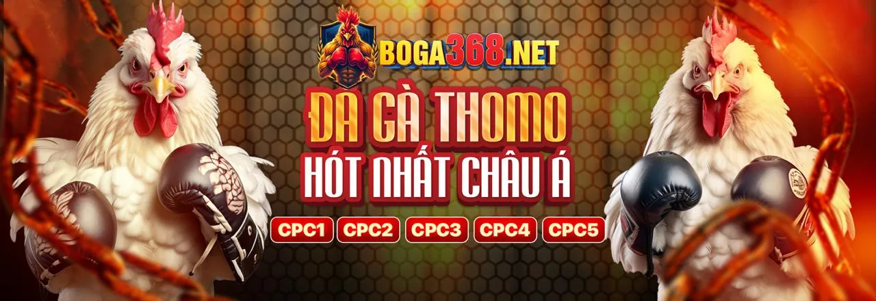 Phương Thức Thanh Toán b88 Đá Gà